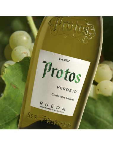 Vin blanc Protos Verdejo