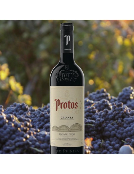 Protos 3e Année Magnum 2021 D.O. Ribera del Duero | CAHS