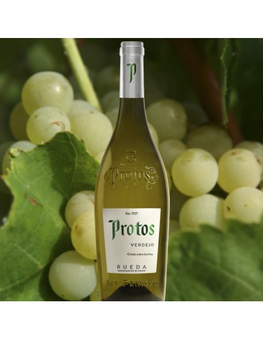 Protos Verdejo blanc