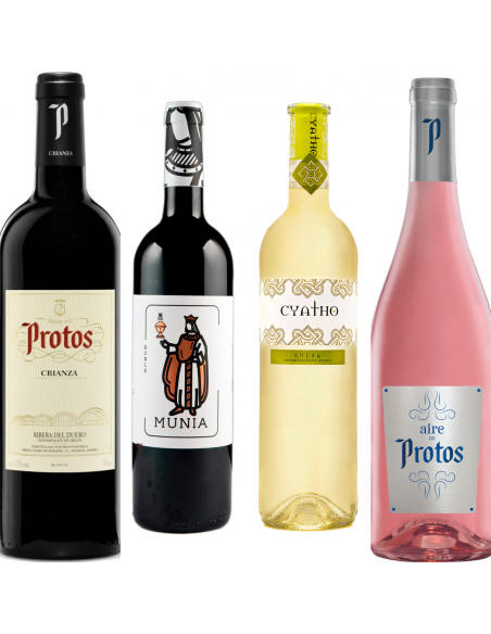 PACK VINS
