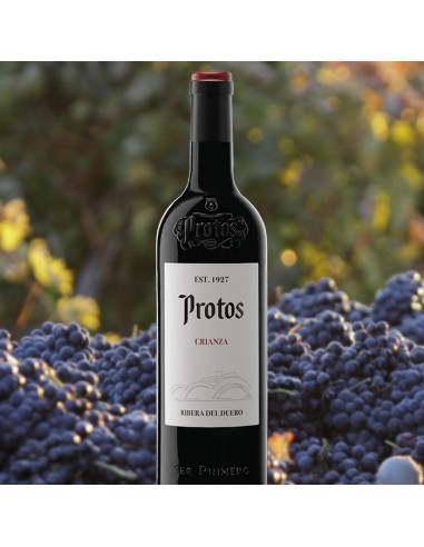 Protos Crianza rouge