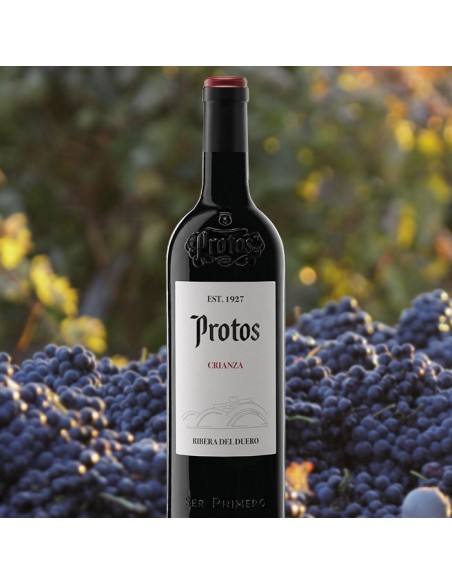 Protos Crianza Rosso