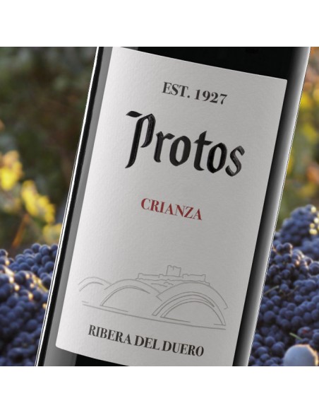Protos Crianza rouge