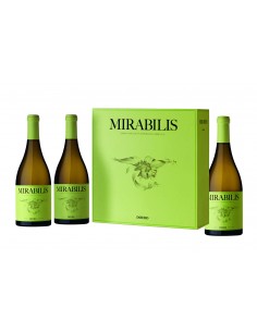 Mirabilis blanc 2
