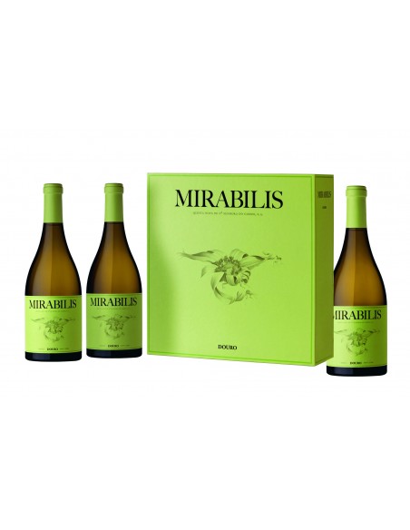 Mirabilis blanc
