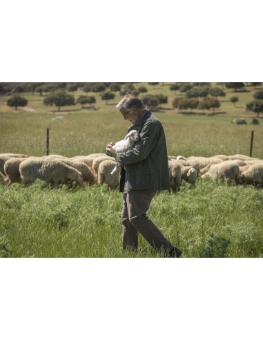 ADIANO Fromage Manchego Artesano d’affinage  250 g