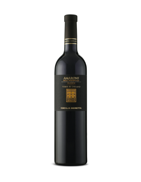 Amarone Terre di Cariano Magnum Rot