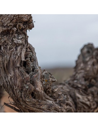 Resalte essences Cuvée Nº2,Tinto