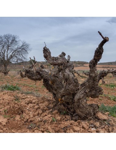 Resalte essences Cuvée Nº2,Tinto