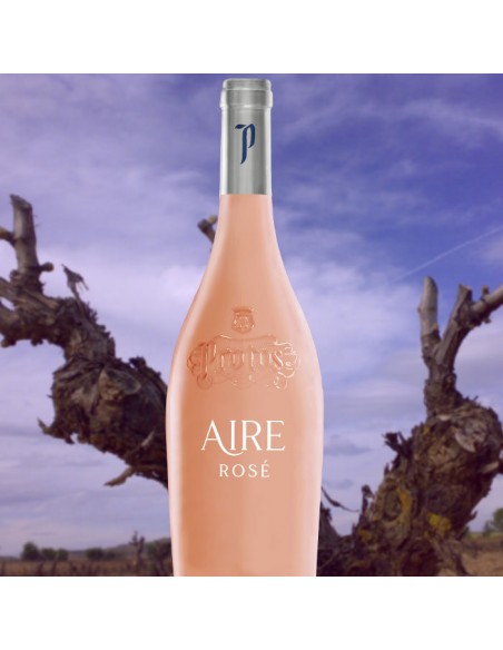 Aire de Protos 2025 | Vin Rosé Premium de Cigales | Protos