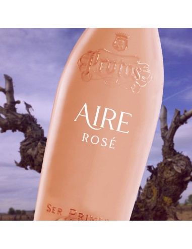 Aire de Protos 2025 | Vin Rosé Premium de Cigales | Protos