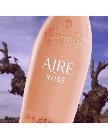 Aire de Protos 2025 | Rosado Premium de Cigales | Protos