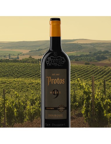 Protos 9 Meses Ecológico D.O. Ribera del Duero | CAHS