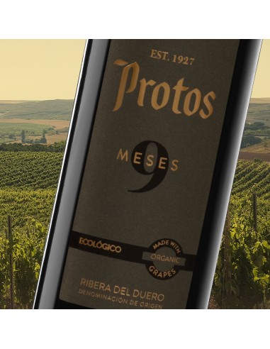 Protos 9 Meses Ecológico D.O. Ribera del Duero | CAHS