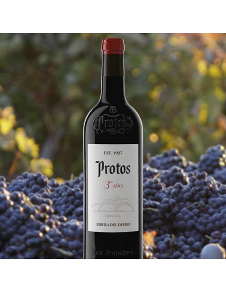 Protos 3er Año 2020 D.O. Ribera del Duero | CAHS