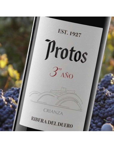 Protos 3° Anno 2020 D.O. Ribera del Duero | CAHS