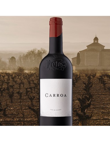 Protos Carroa 2021 | Premium Rotwein D.O. Ribera del Duero | Bodegas Protos