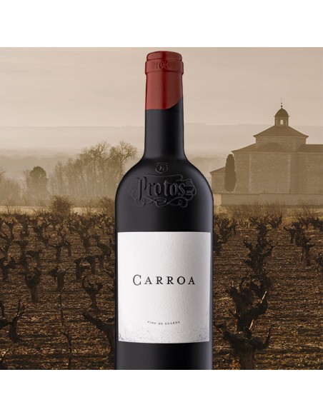 Protos Carroa 2021 | Vino Tinto Premium D.O. Ribera del Duero | Bodegas Protos
