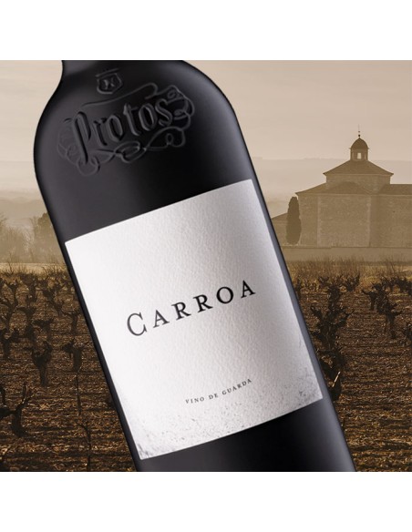 Protos Carroa 2021 | Vino Rosso Premium D.O. Ribera del Duero | Bodegas Protos