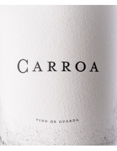 Protos Carroa 2021 | Vino Rosso Premium D.O. Ribera del Duero | Bodegas Protos 2