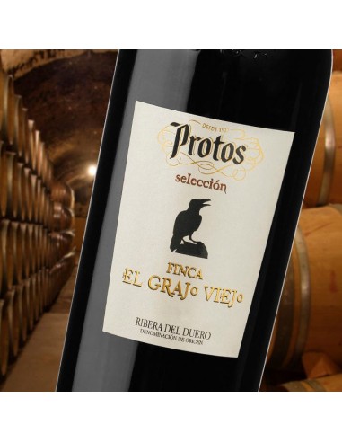 Vino Rosso Protos Finca El Grajo Viejo 2021 | Ribera del Duero | CAHS