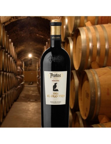 Vino Tinto Protos Finca El Grajo Viejo 2021 | Ribera del Duero | CAHS