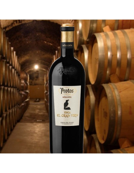 Vin Rouge Protos Finca El Grajo Viejo 2021 | Ribera del Duero | CAHS