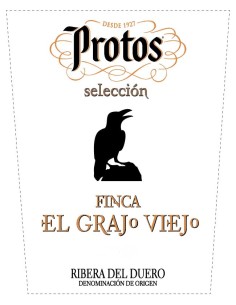 Vino Rosso Protos Finca El Grajo Viejo 2021 | Ribera del Duero | CAHS 2