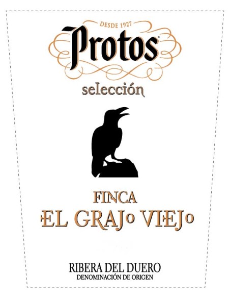 Vin Rouge Protos Finca El Grajo Viejo 2021 | Ribera del Duero | CAHS