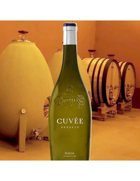 Weisswein Protos Verdejo Cuvée Bio 2025 | D.O. Rueda | CAHS