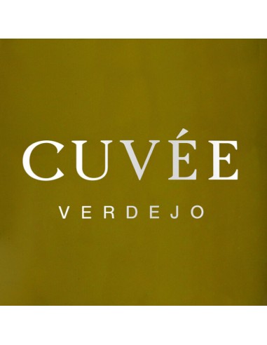 Vin Blanc Protos Verdejo Cuvée Bio 2025 | D.O. Rueda | CAHS