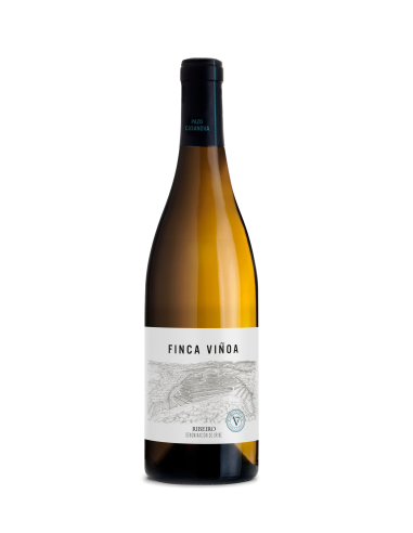 La Viñoa Treixadura 2025 | Vino blanco D.O. Ribeiro | Pazo Casanova | CAHS