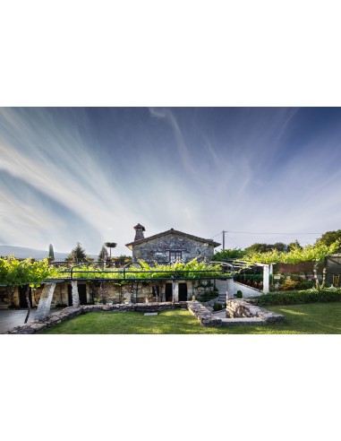 Vin blanc Quinta de Couselo « Rosal » 2025 | A.O. Rías Baixas | CAHS Suisse