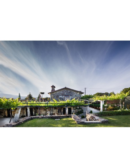 Vino blanco Quinta de Couselo "Rosal" 2025 | D.O. Rías Baixas | CAHS Suiza
