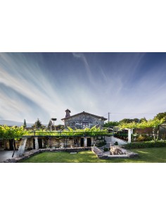 Vino bianco Quinta de Couselo "Rosal" 2025 | D.O. Rías Baixas | CAHS Svizzera 2