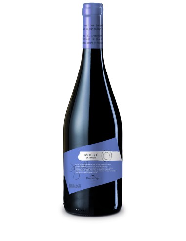 Capricho de Sousón | Sousón Rotwein D.O. Ribeira Sacra | CAHS Schweiz