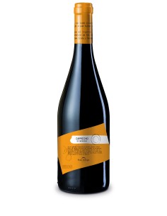 Capricho de Merenzao | Vin rouge Merenzao D.O. Ribeira Sacra | CAHS Suisse