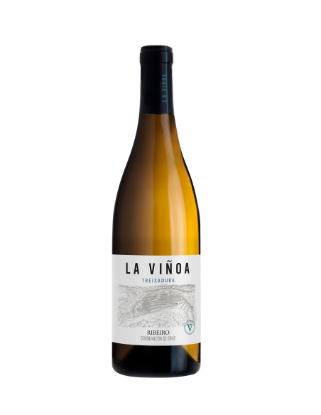 La Viñoa Treixadura 2025 | Vino blanco D.O. Ribeiro | Pazo Casanova | CAHS