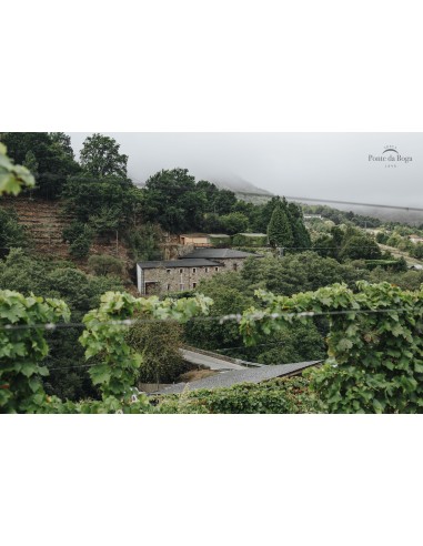 Capricho de Merenzao | Vino rosso Merenzao D.O. Ribeira Sacra | CAHS Svizzera