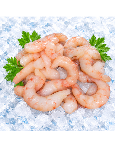Queue de langoustine Austral décortiquée U-20/lb