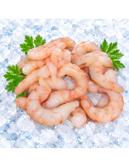 Cola de Langostino Austral pelado y desvenado  U-20/lb