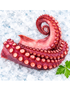 Tentáculos de pulpo cocidos 150-200 g 2