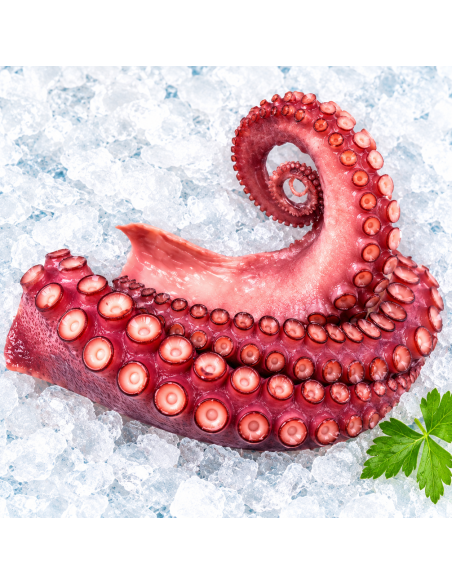 Tentacoli polpo cotti 150-200 g