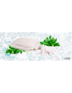 Sepia M entera limpia