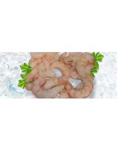Langostino Austral Schwänze ohne Schale U-20/lb