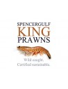 Spencer Gulf
